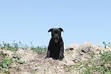 STAFFIE 044